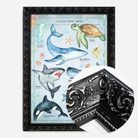 Vintage Style Sea Creatures Chart Educational Print