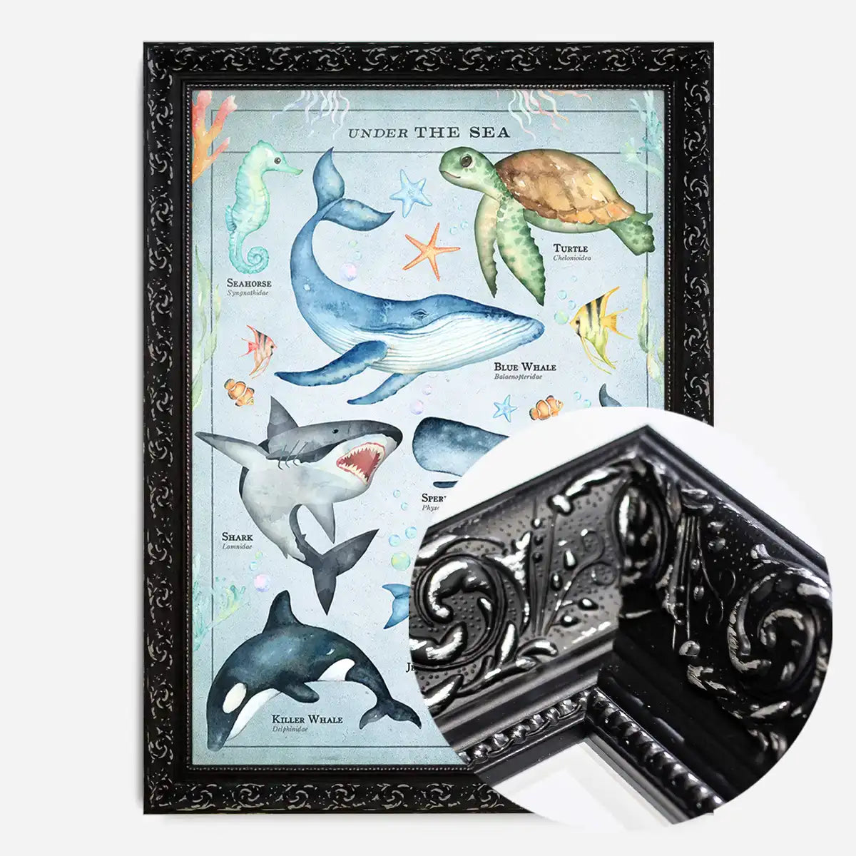 Vintage Style Sea Creatures Chart Educational Print