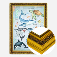 Vintage Style Sea Creatures Chart Educational Print
