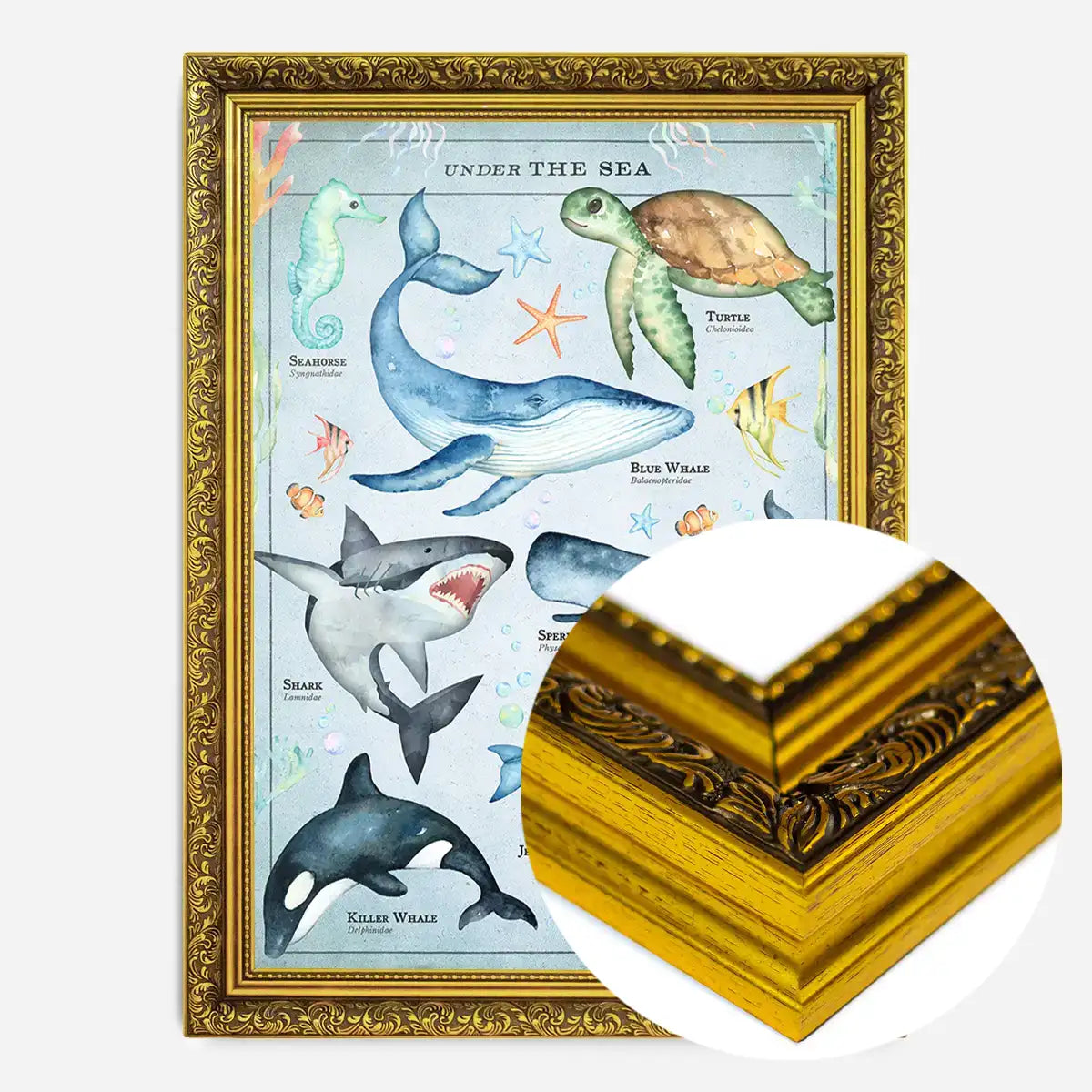 Vintage Style Sea Creatures Chart Educational Print
