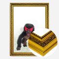 Gold Ornate Frame