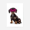 Super Sausage! Little Heroes Dachshund Animal Print