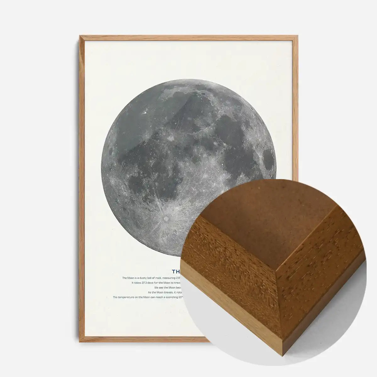 The Moon Educational Kids Planet Poster