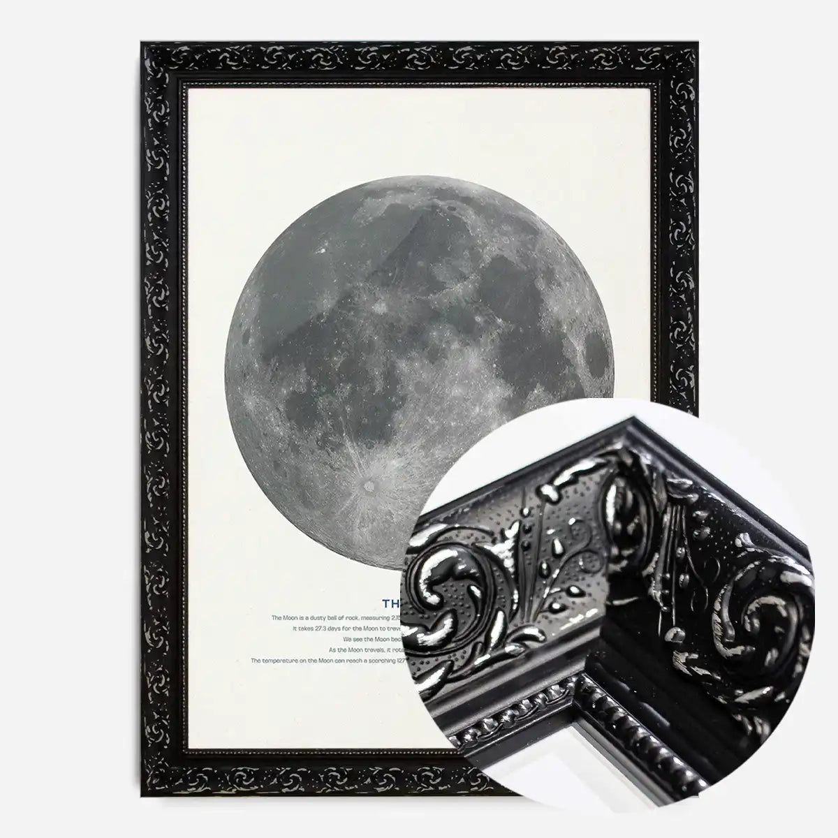 The Moon Educational Kids Planet Poster