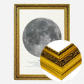 Gold Ornate Frame