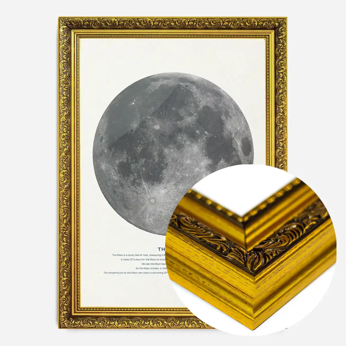 The Moon Educational Kids Planet Poster