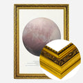 Gold Ornate Frame