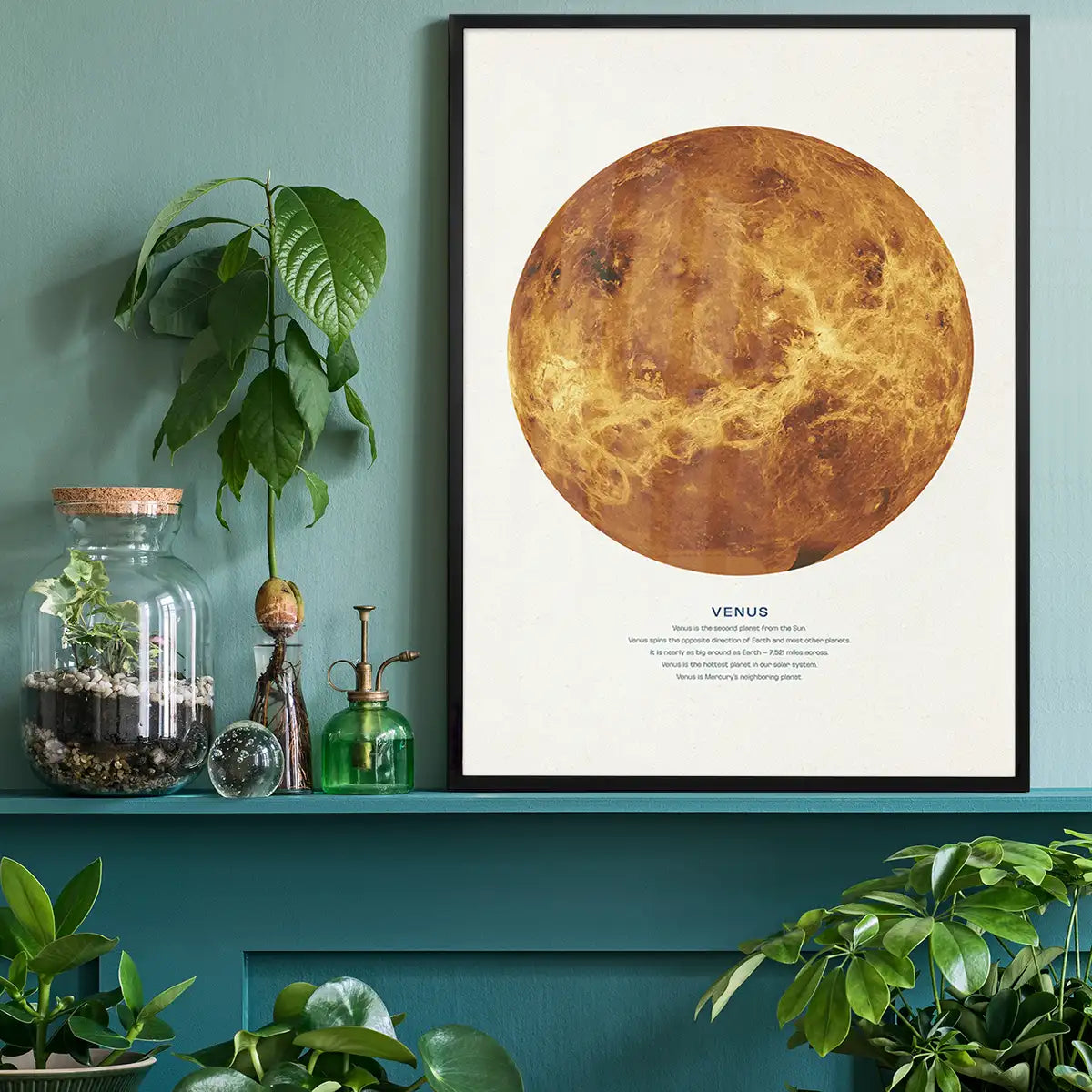 Venus Educational Kids Planet Poster