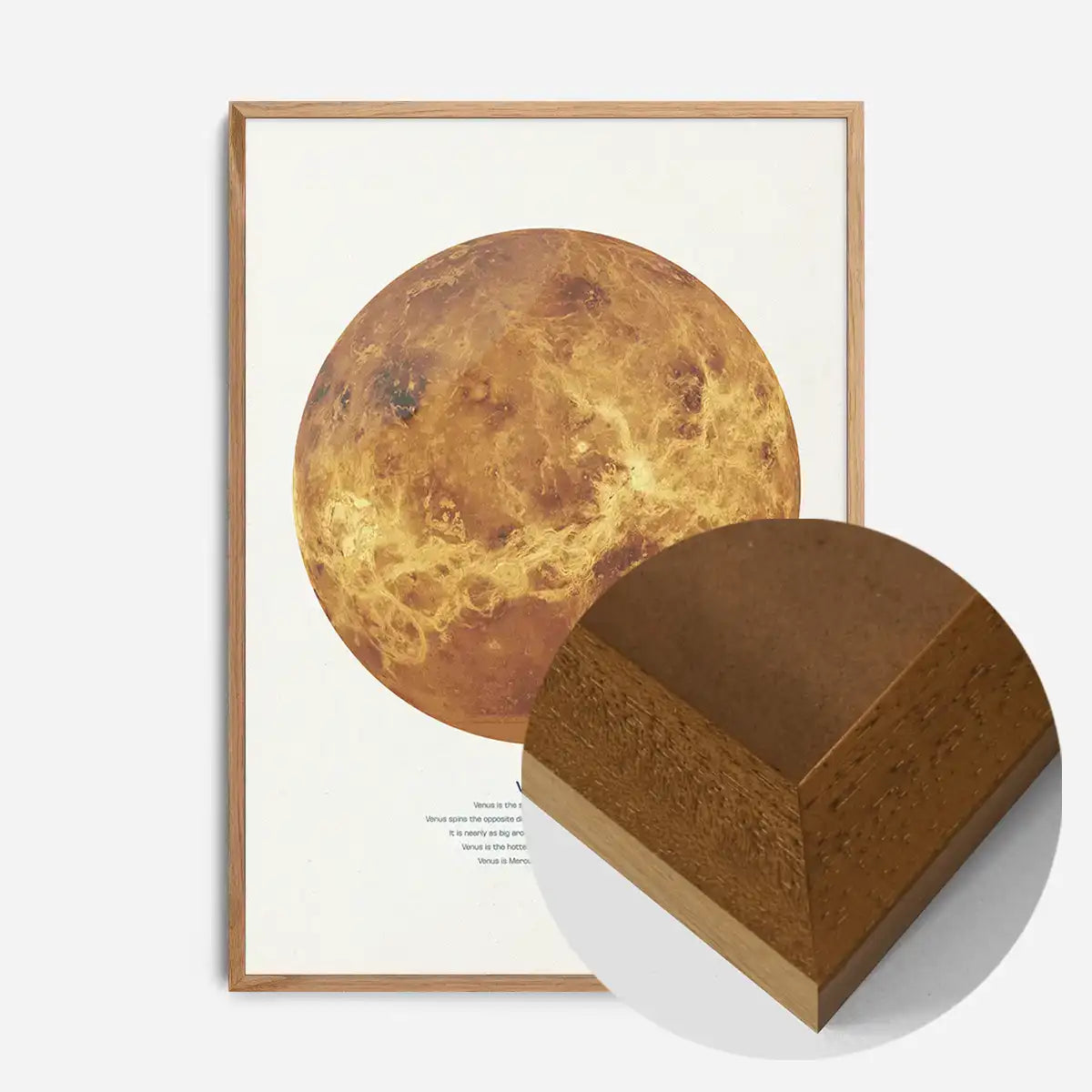 Venus Educational Kids Planet Poster