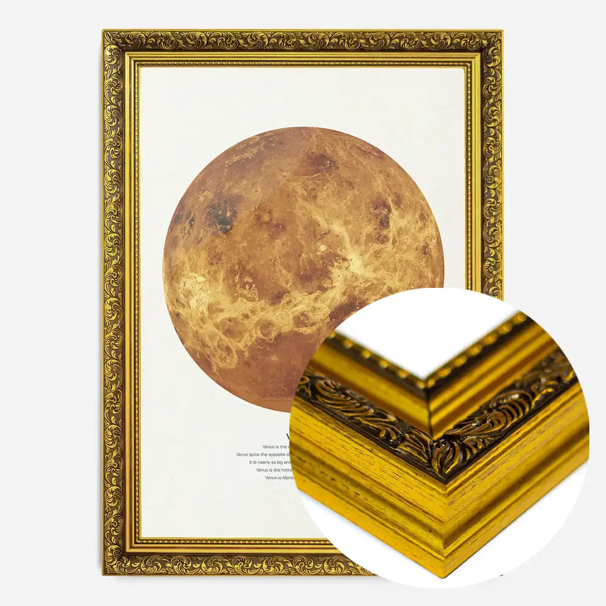 Venus Educational Kids Planet Poster