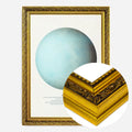Gold Ornate Frame