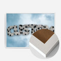 White Wood Frame
