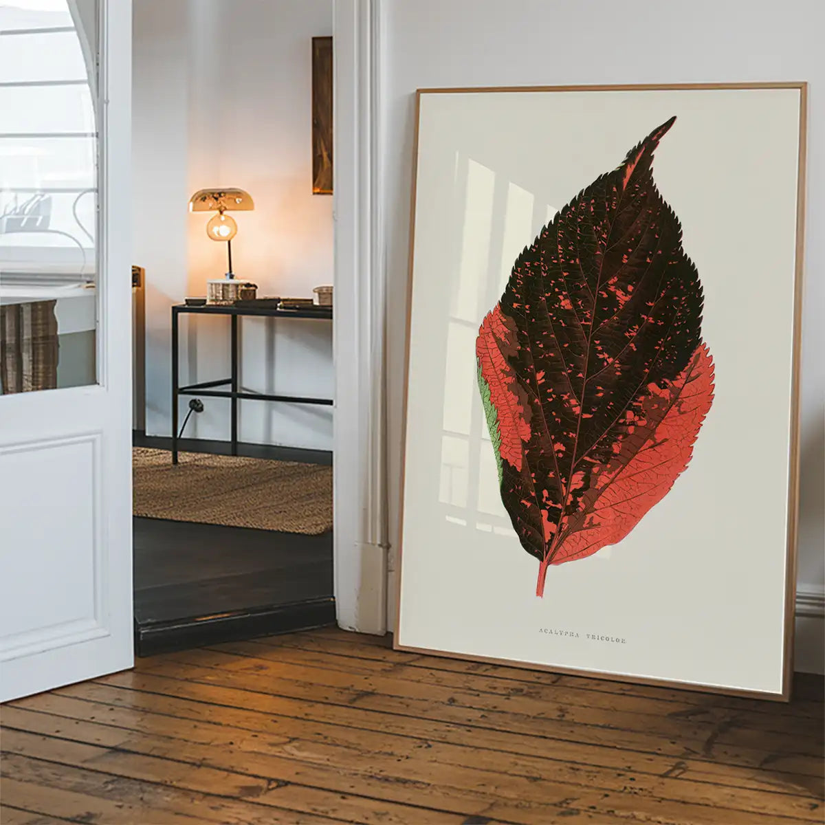 Acalypha Tricolor leaf illustration botanical print