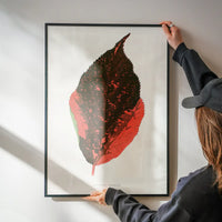 Acalypha Tricolor leaf illustration botanical print