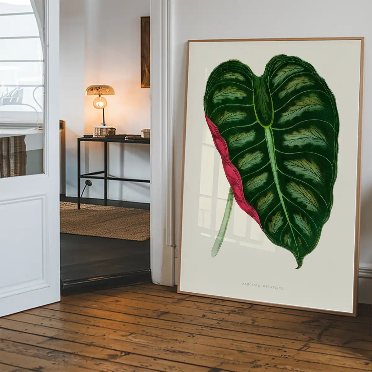 Alocasia Metallica leaf illustration botanical print