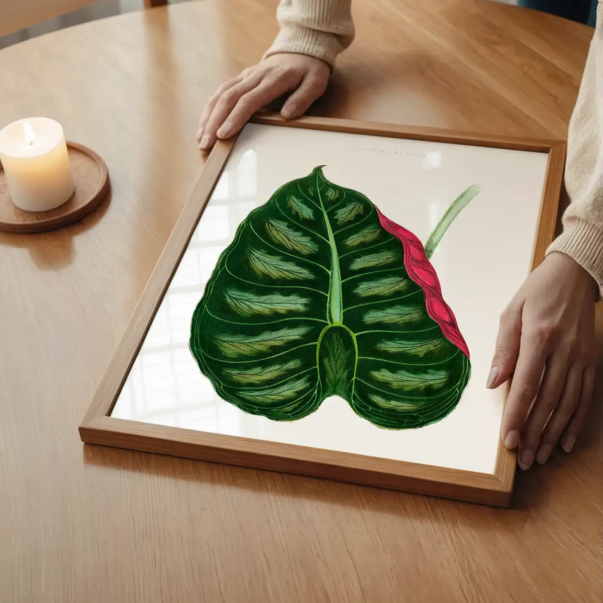 Alocasia Metallica leaf illustration botanical print