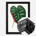 Black Ornate Frame
