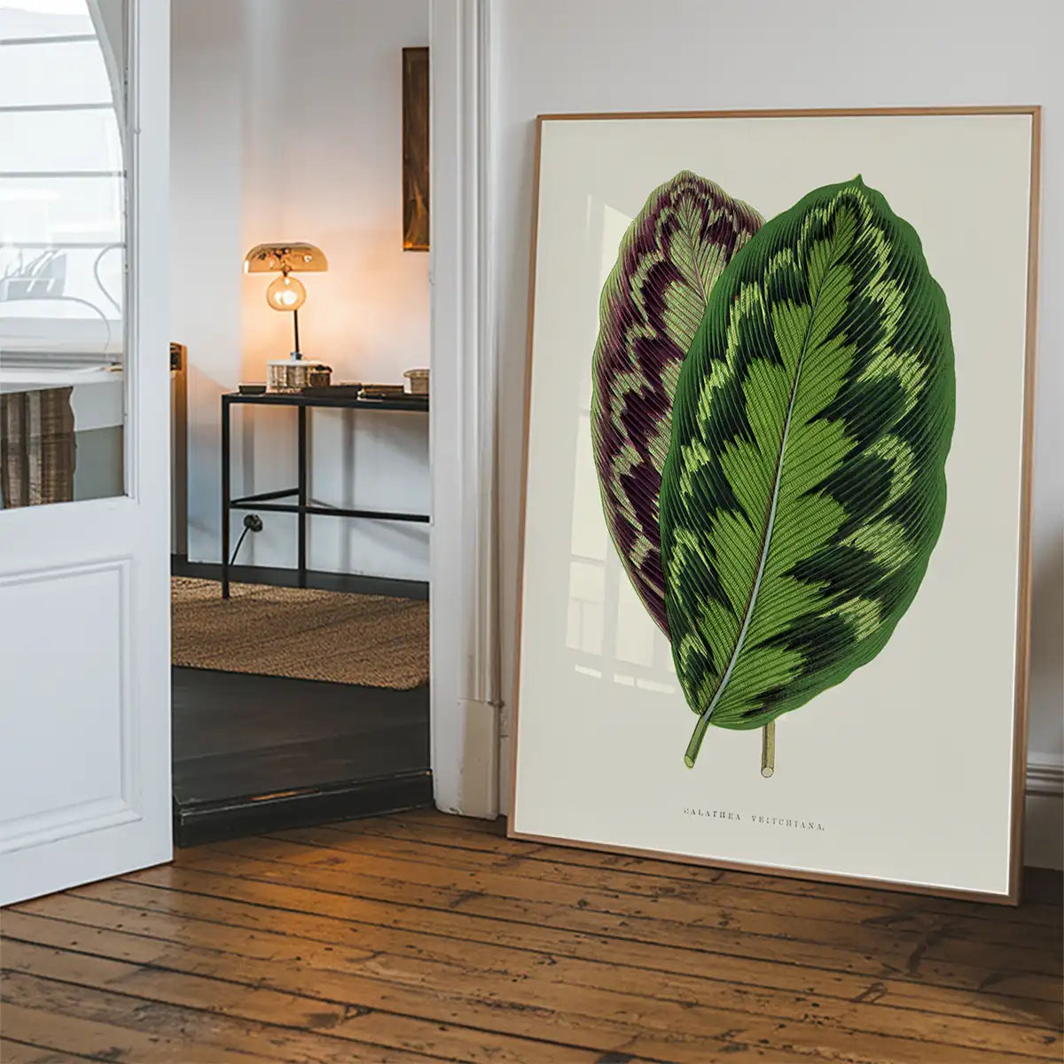 Calathea Veitchiana leaf botanical illustration print