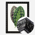 Black Ornate Frame