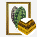 Gold Ornate Frame