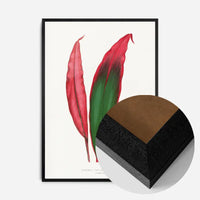 Dracaena leaf botanical illustration print