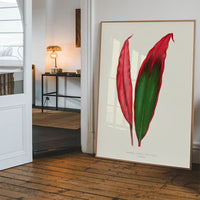 Dracaena leaf botanical illustration print