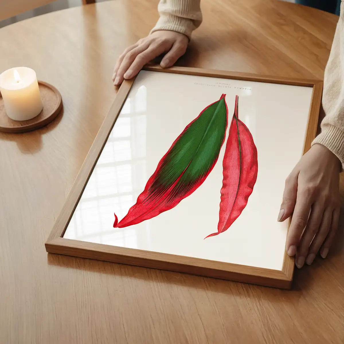 Dracaena leaf botanical illustration print