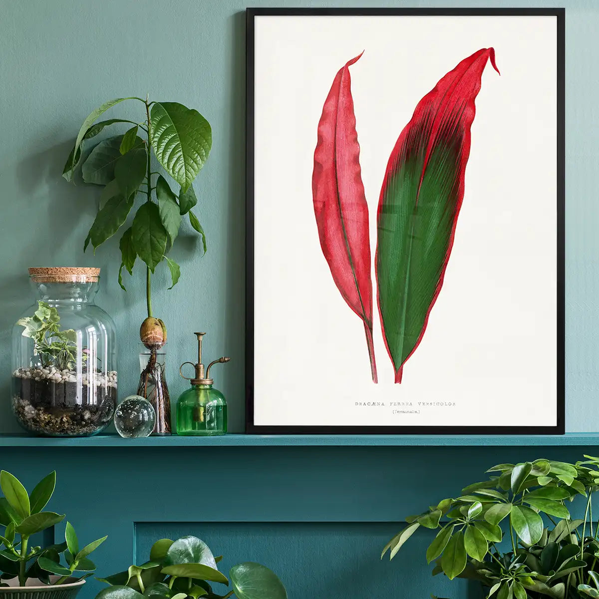 Dracaena leaf botanical illustration print