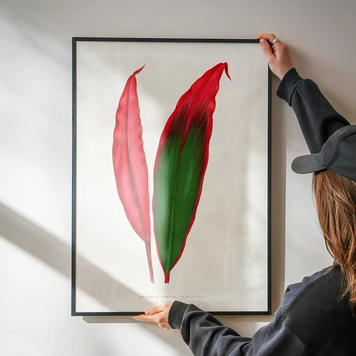 Dracaena leaf botanical illustration print