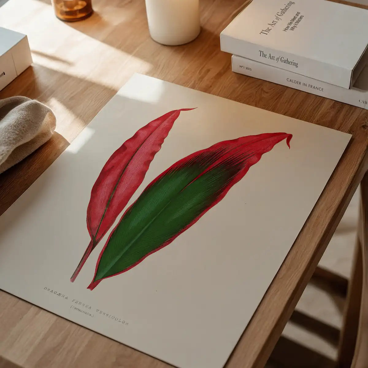 Dracaena leaf botanical illustration print