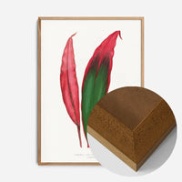 Dracaena leaf botanical illustration print