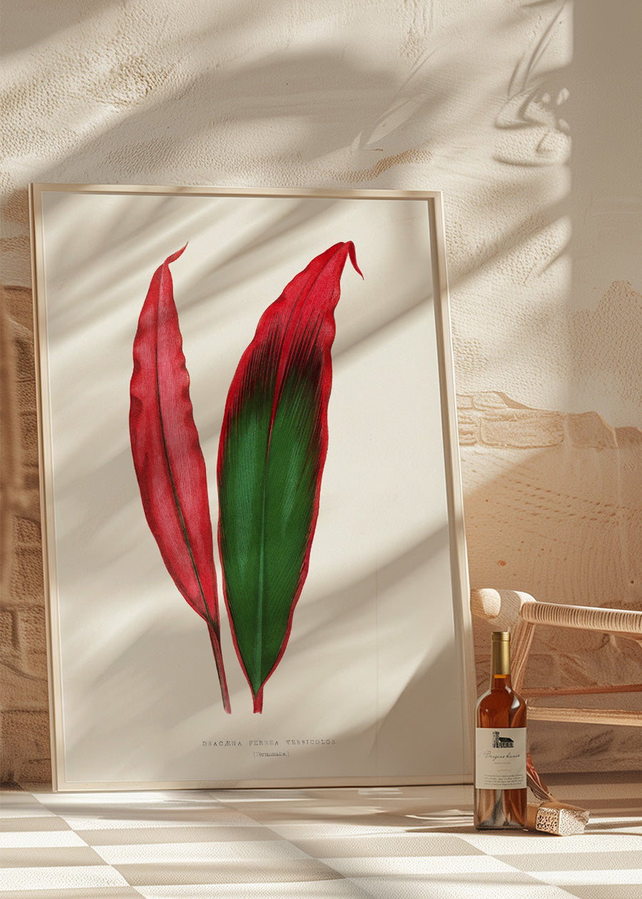 Dracaena leaf botanical illustration print