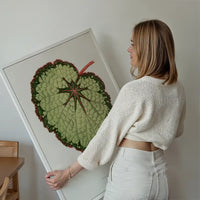 Green Begonia Rex leaf botanical illustration print