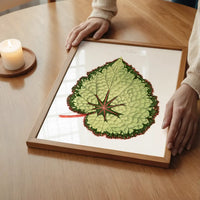 Green Begonia Rex leaf botanical illustration print
