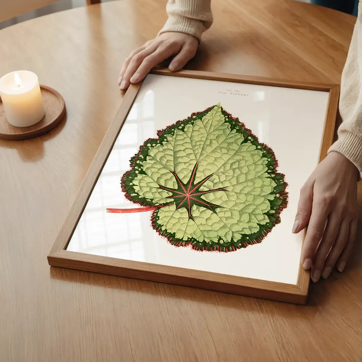 Green Begonia Rex leaf botanical illustration print