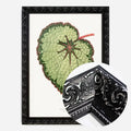 Black Ornate Frame