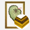 Gold Ornate Frame