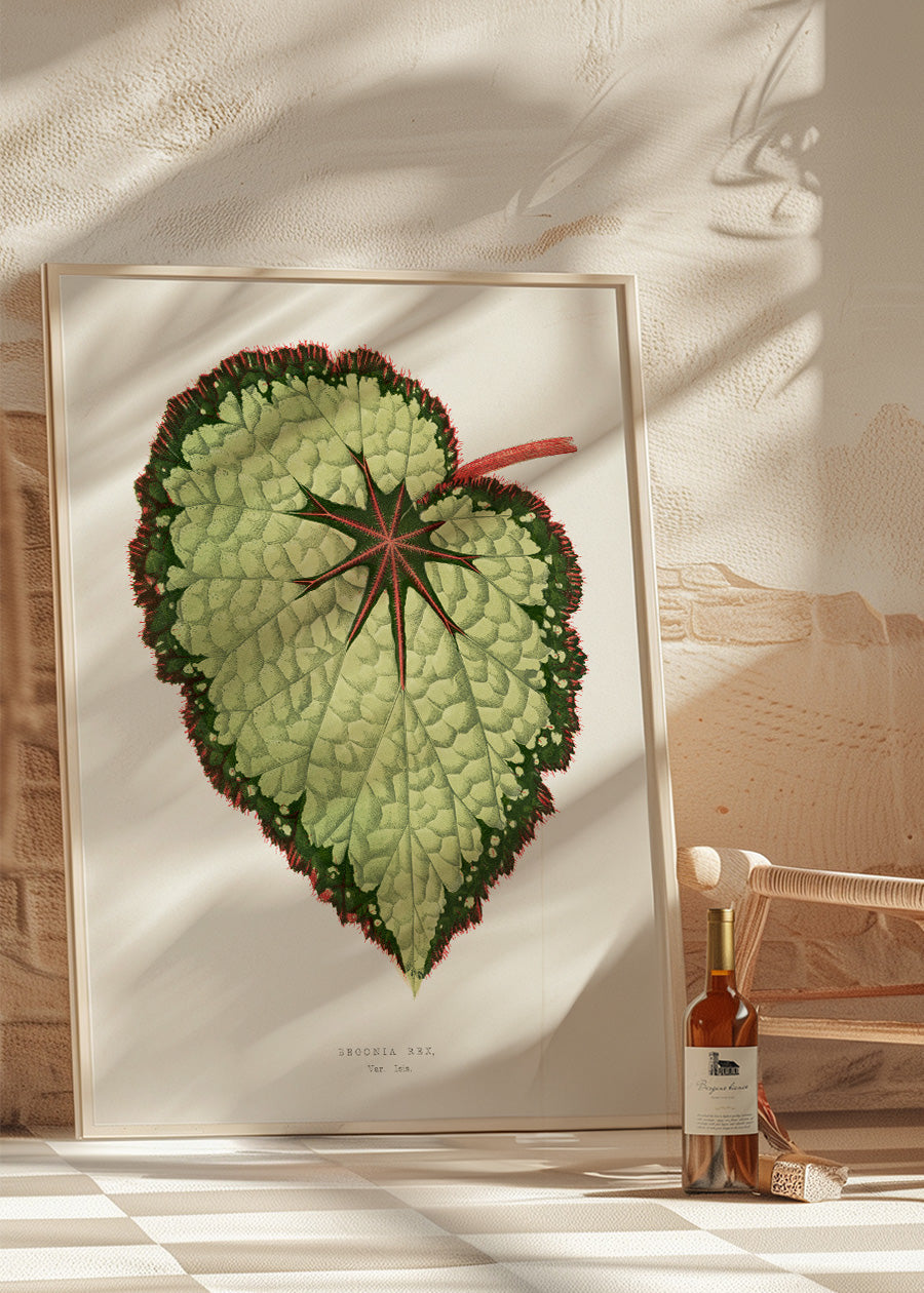 Green Begonia Rex leaf botanical illustration print