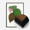 Black Wood Frame