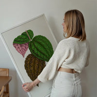 Green Bertolonia Guttata leaf botanical illustration print