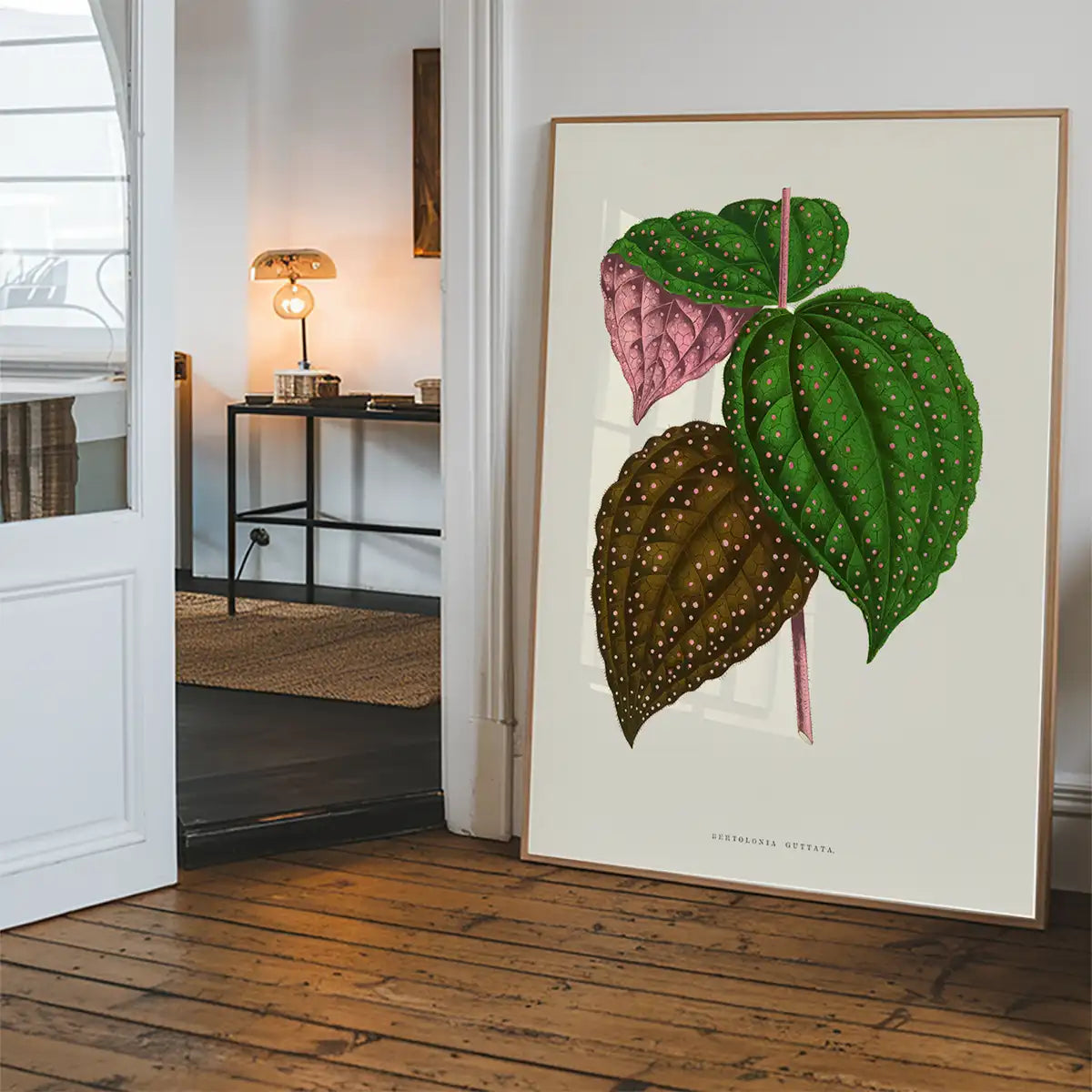 Green Bertolonia Guttata leaf botanical illustration print