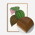 Oak Wood Frame