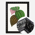 Black Ornate Frame