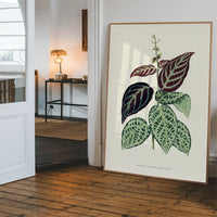 Green Bignonia Argyro Violascens leaf botanical illustration print