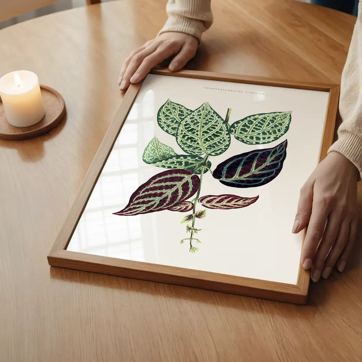 Green Bignonia Argyro Violascens leaf botanical illustration print