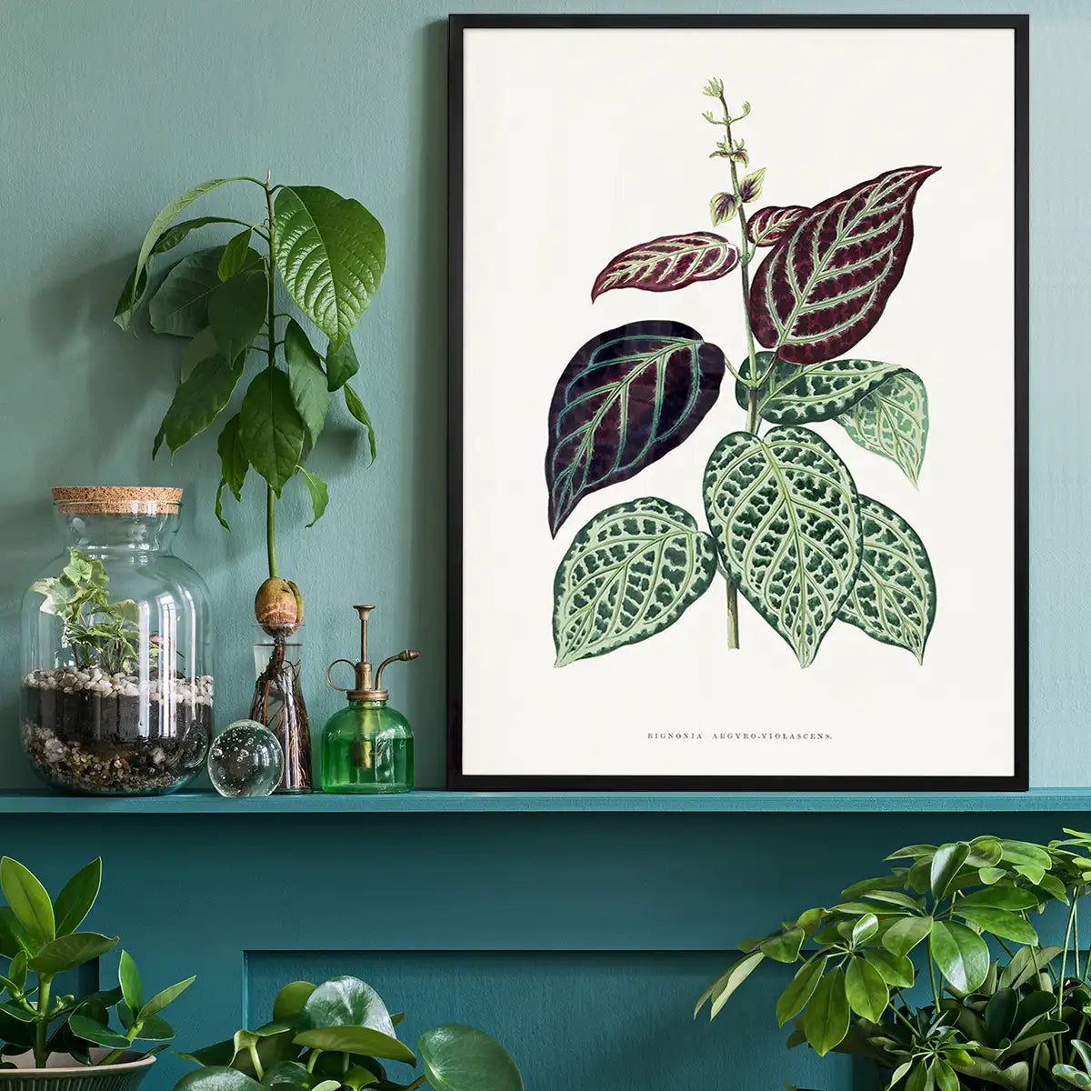 Green Bignonia Argyro Violascens leaf botanical illustration print