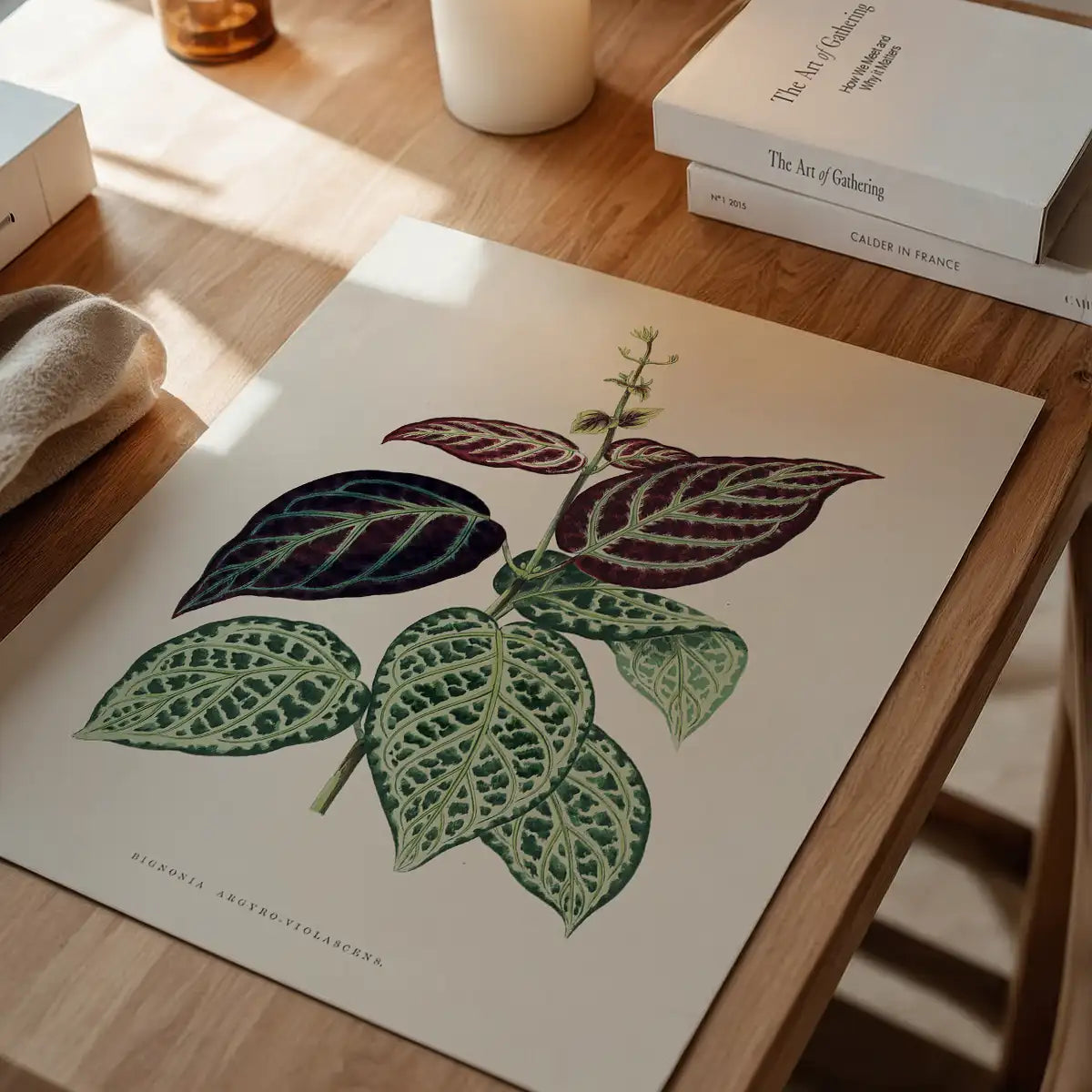 Green Bignonia Argyro Violascens leaf botanical illustration print