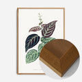 Oak Wood Frame