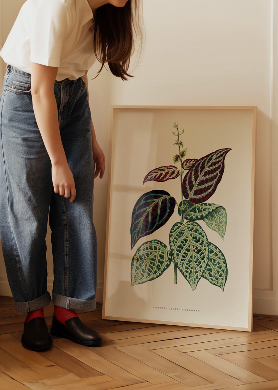 Green Bignonia Argyro Violascens leaf botanical illustration print