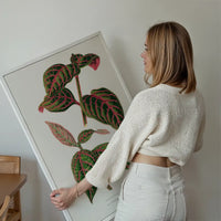 Green Eranthemum leaf botanical illustration print